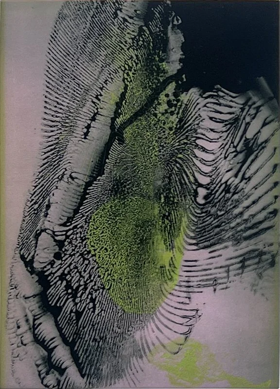 Dorothea Van Camp — 13FOREST Gallery